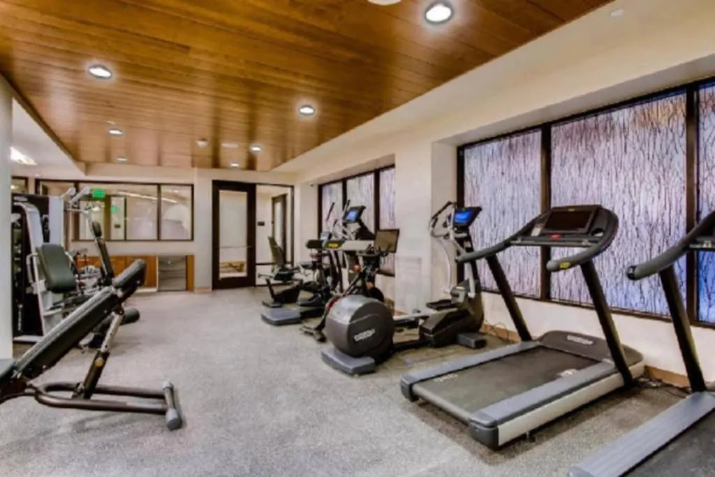 Apartment Luxury, Meters To Lionshead Gondola. The Lion *
