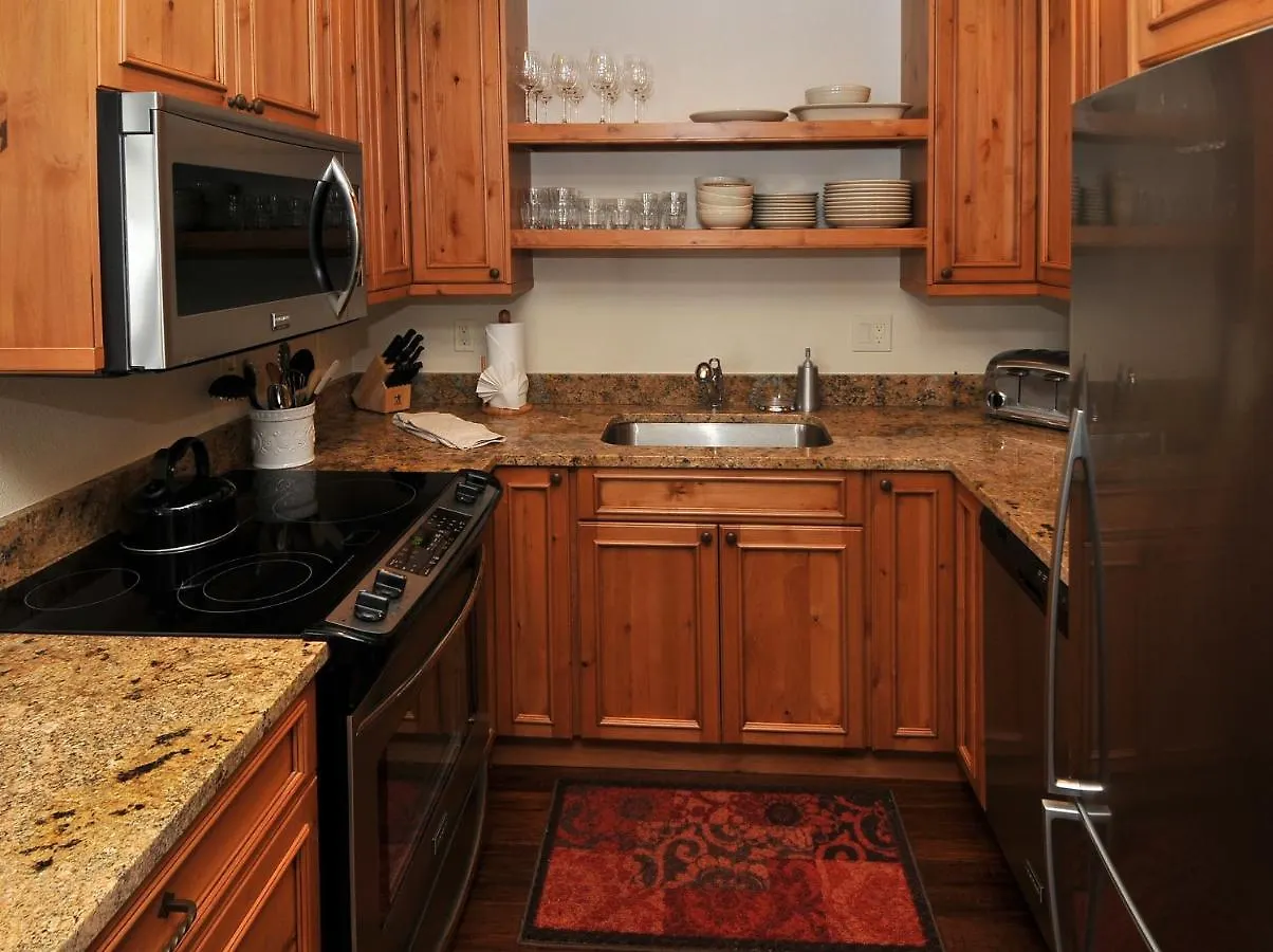 Lionshead Center #201 Apartment