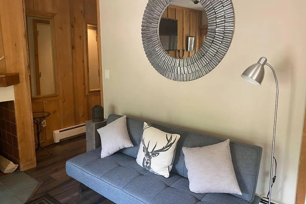 Cozy Apartment, Right In Front Of Lionshead Gondola Apartment Vail
