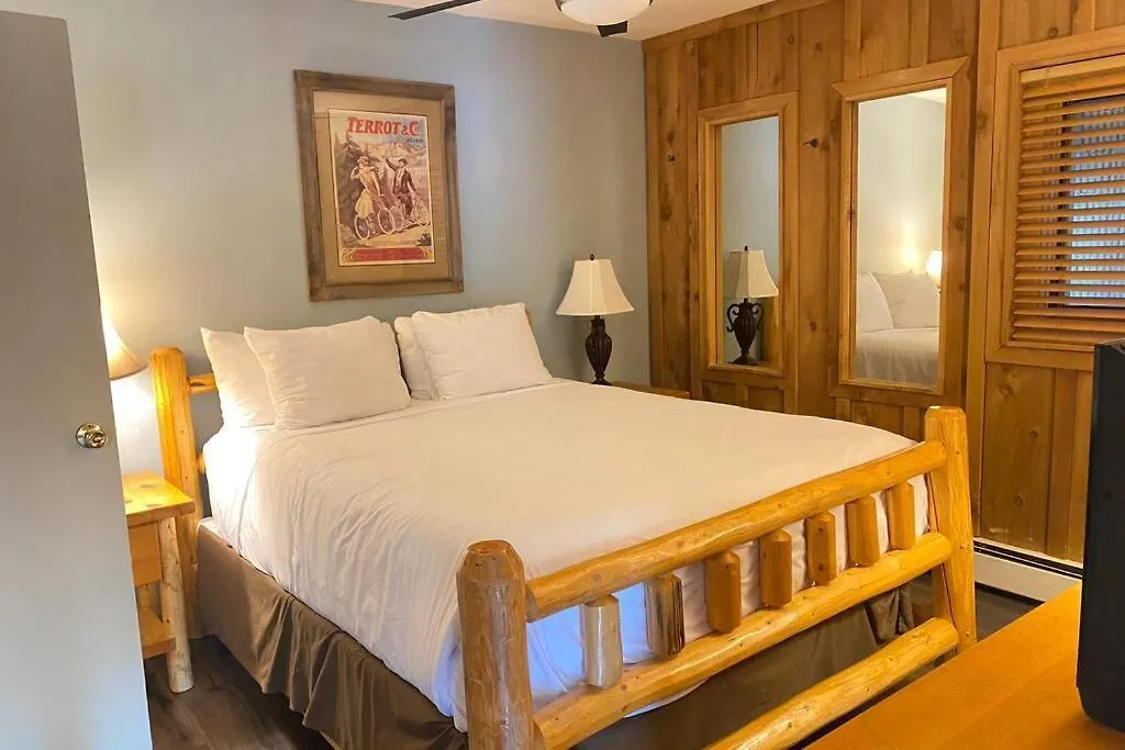 Cozy Apartment, Right In Front Of Lionshead Gondola Apartment