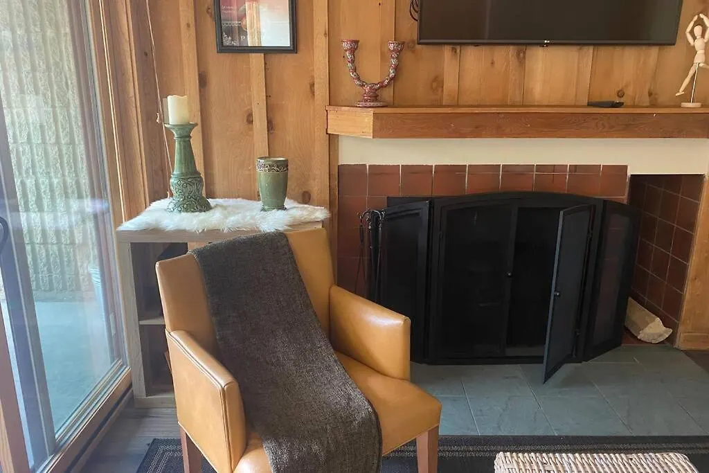 Cozy Apartment, Right In Front Of Lionshead Gondola Apartment *