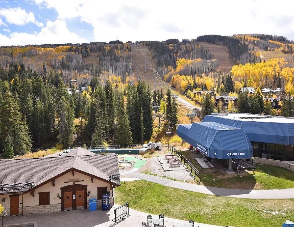 Lionshead Center #101 Vail