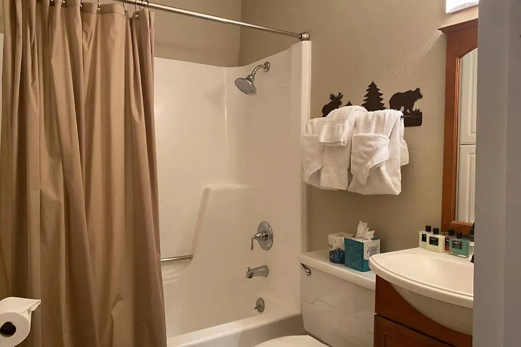 Cozy Apartment, Right In Front Of Lionshead Gondola Apartment Vail