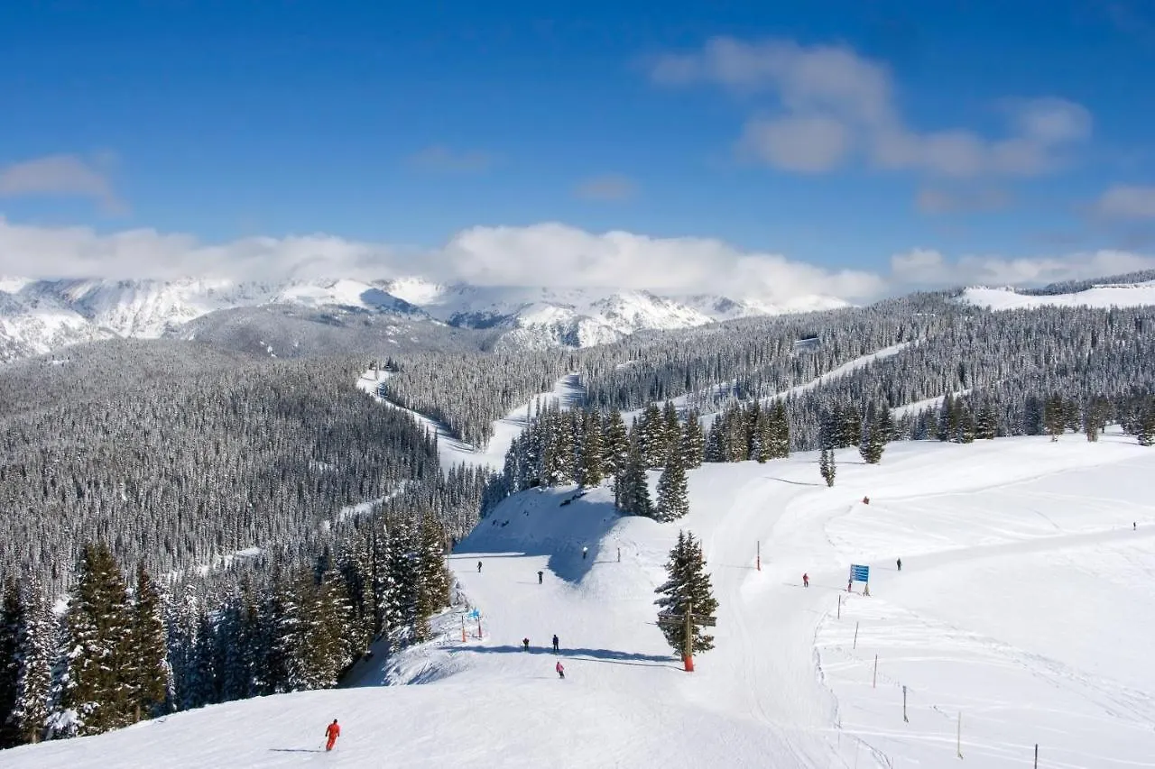 East Unit 7 Apartment Vail