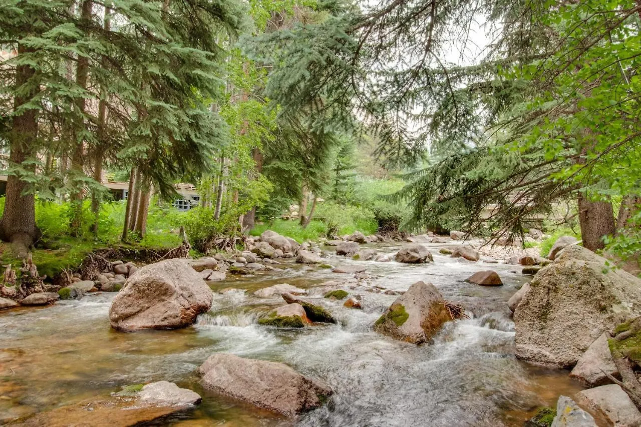 Dormy Vail