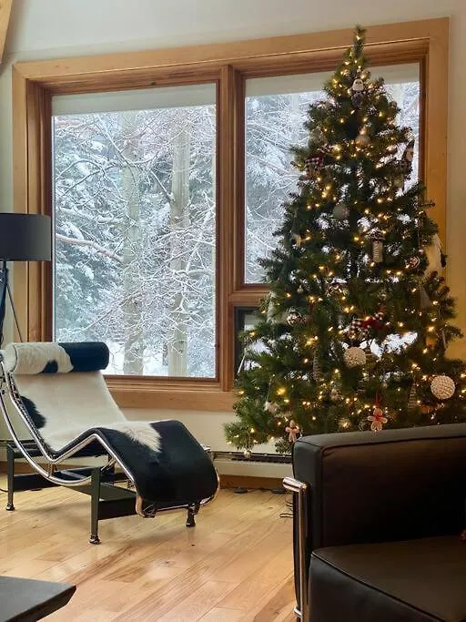 In Out, Modern Alpine Chic Apartment Vail
