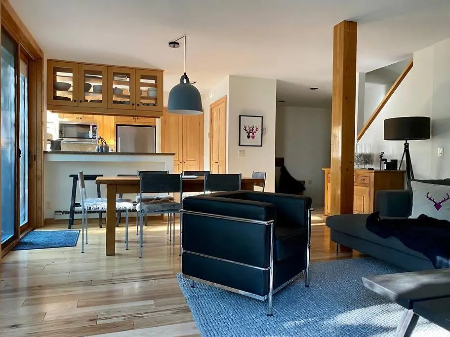 Apartment In Out, Modern Alpine Chic