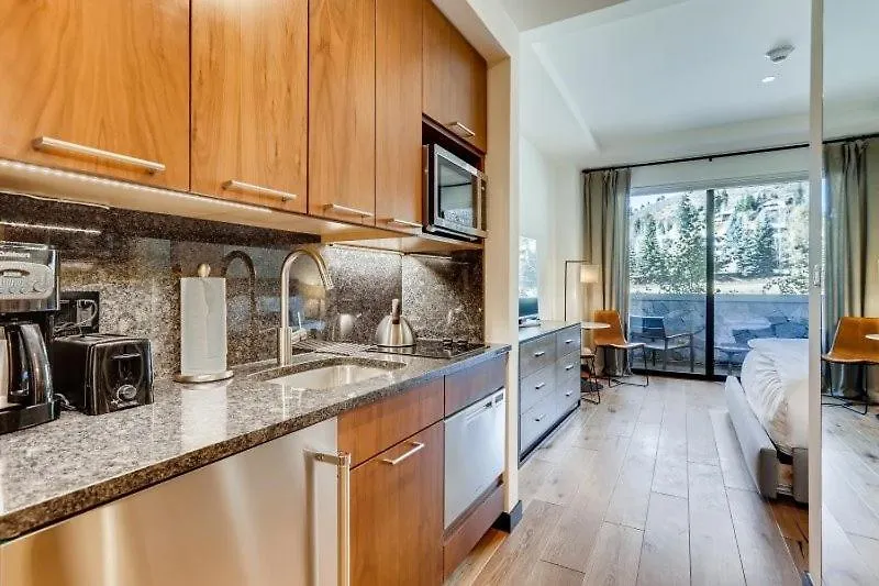 Apartment Lion Mountain Vacation Just Steps From The Eagle Bahn Gondola Vail