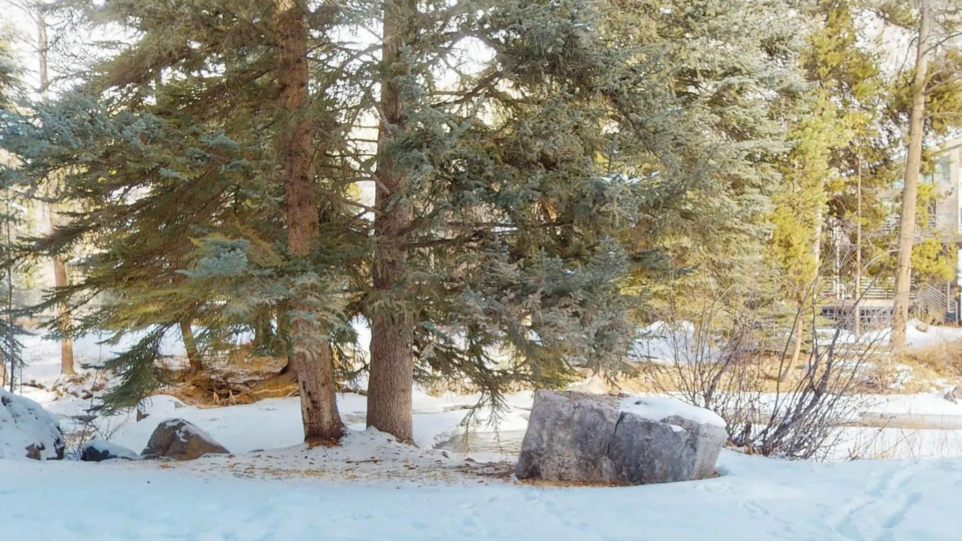 Holiday home Timber Falls Vail