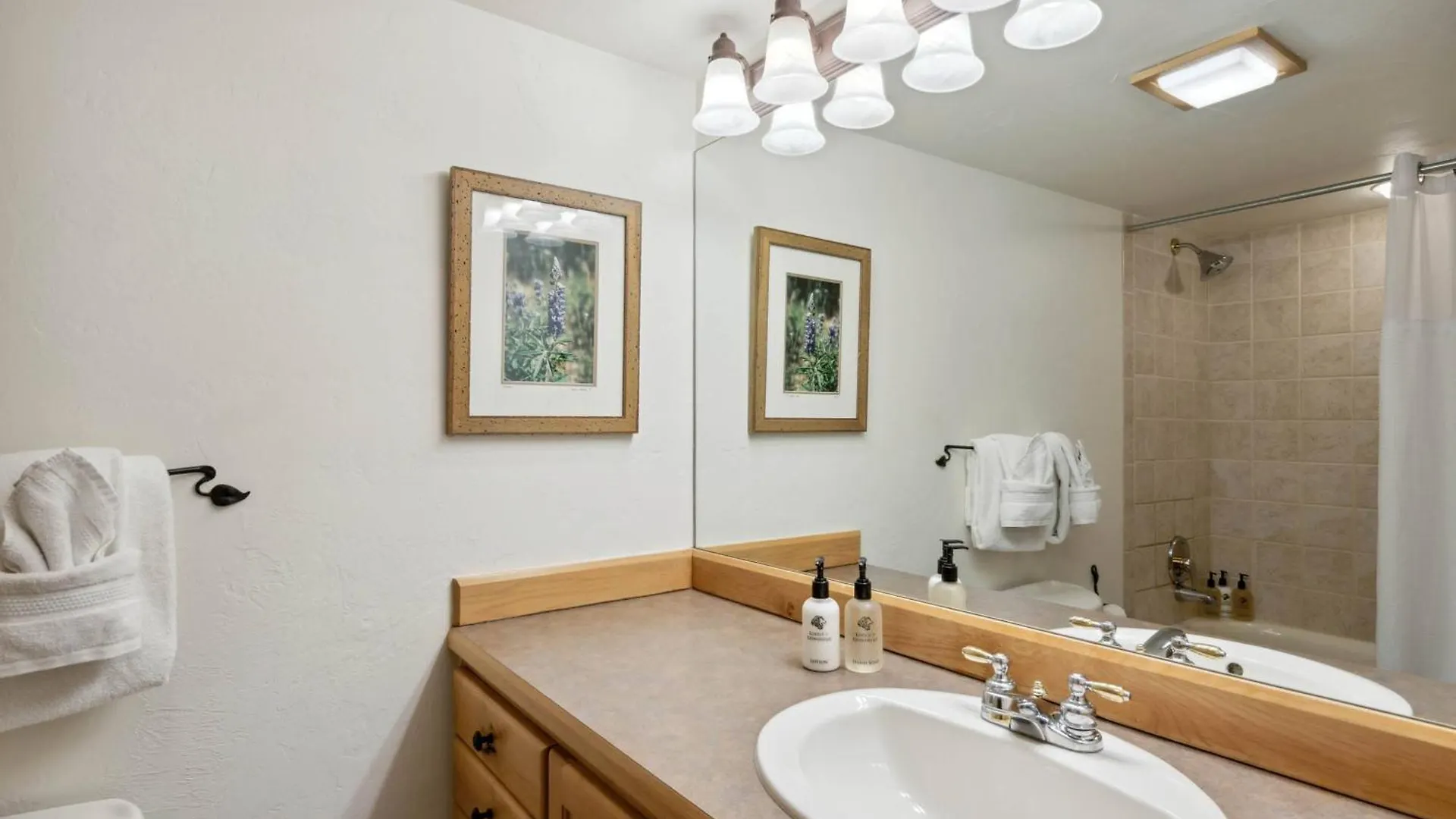 At Lionshead 408 Apartment *
