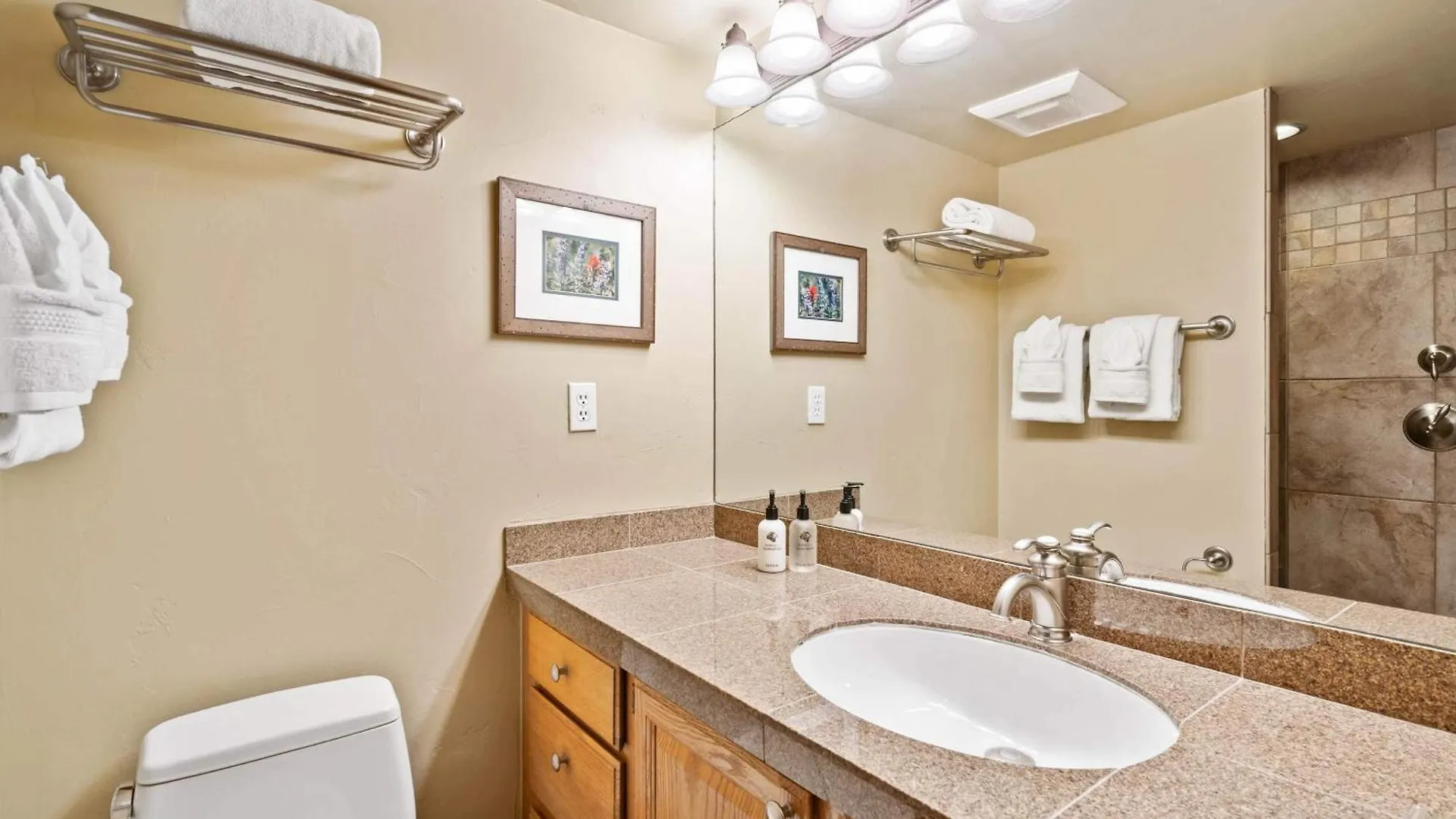 At Lionshead 406 Apartment Vail