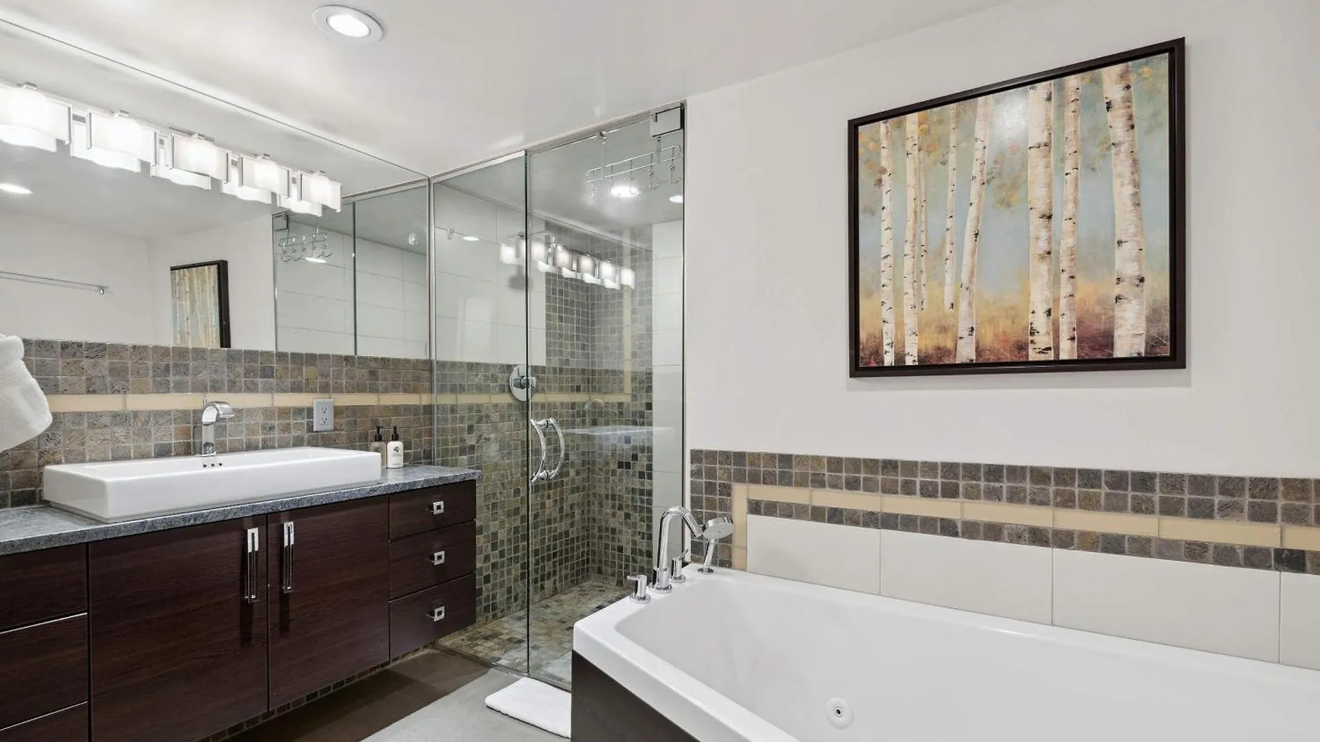 At Lionshead 350 Apartment Vail