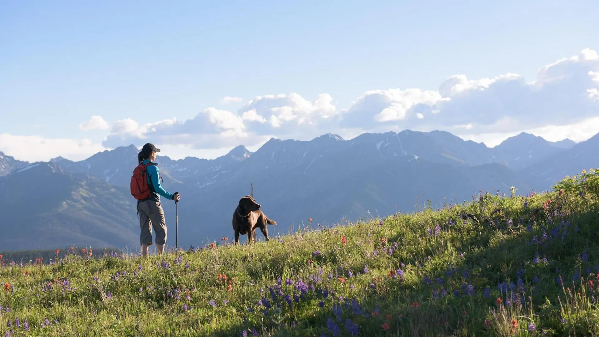 Lift House Lodge, Boutique Premium * Vail