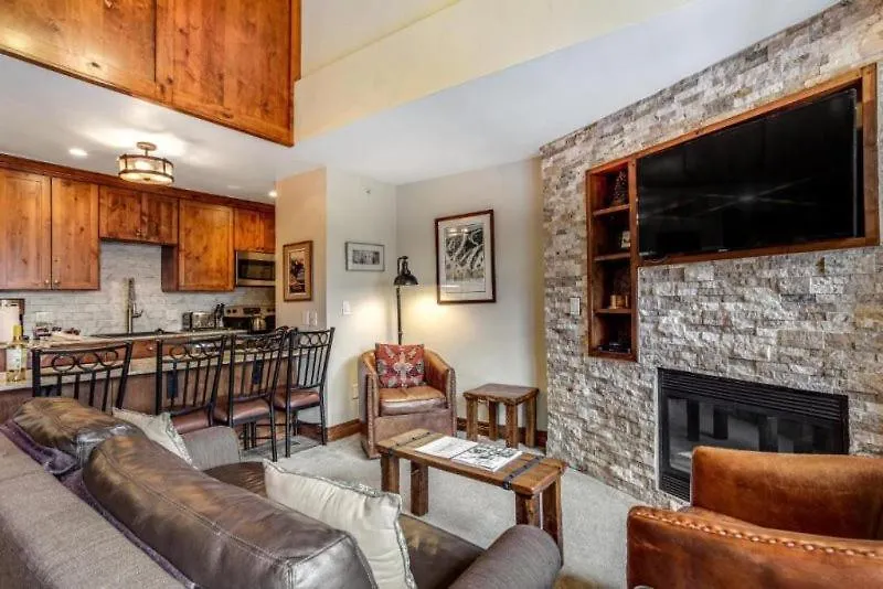 In, Out 1 Bedroom At The Eagle Bahn Gondola Apartment Vail