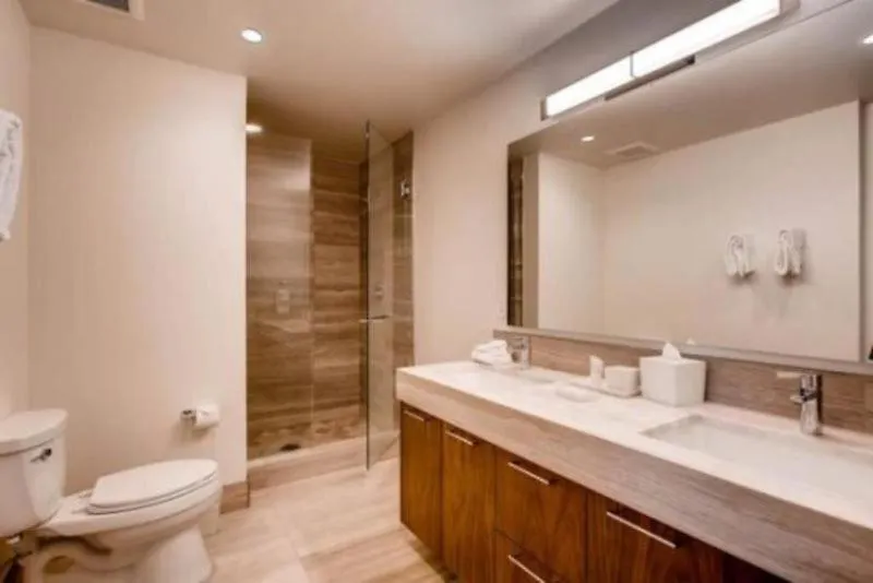 Lion 1 Bed Apartment Vail