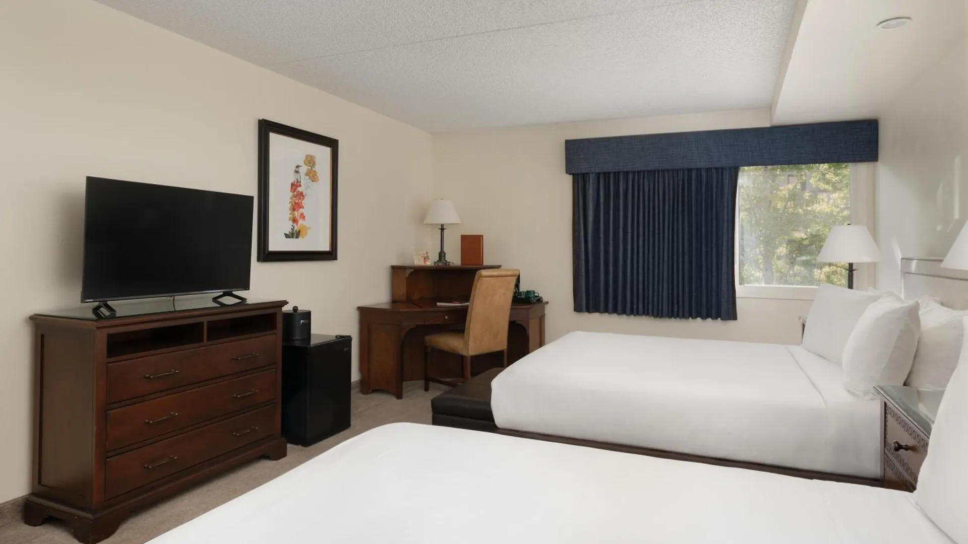 Hotel Evergreen At 3*