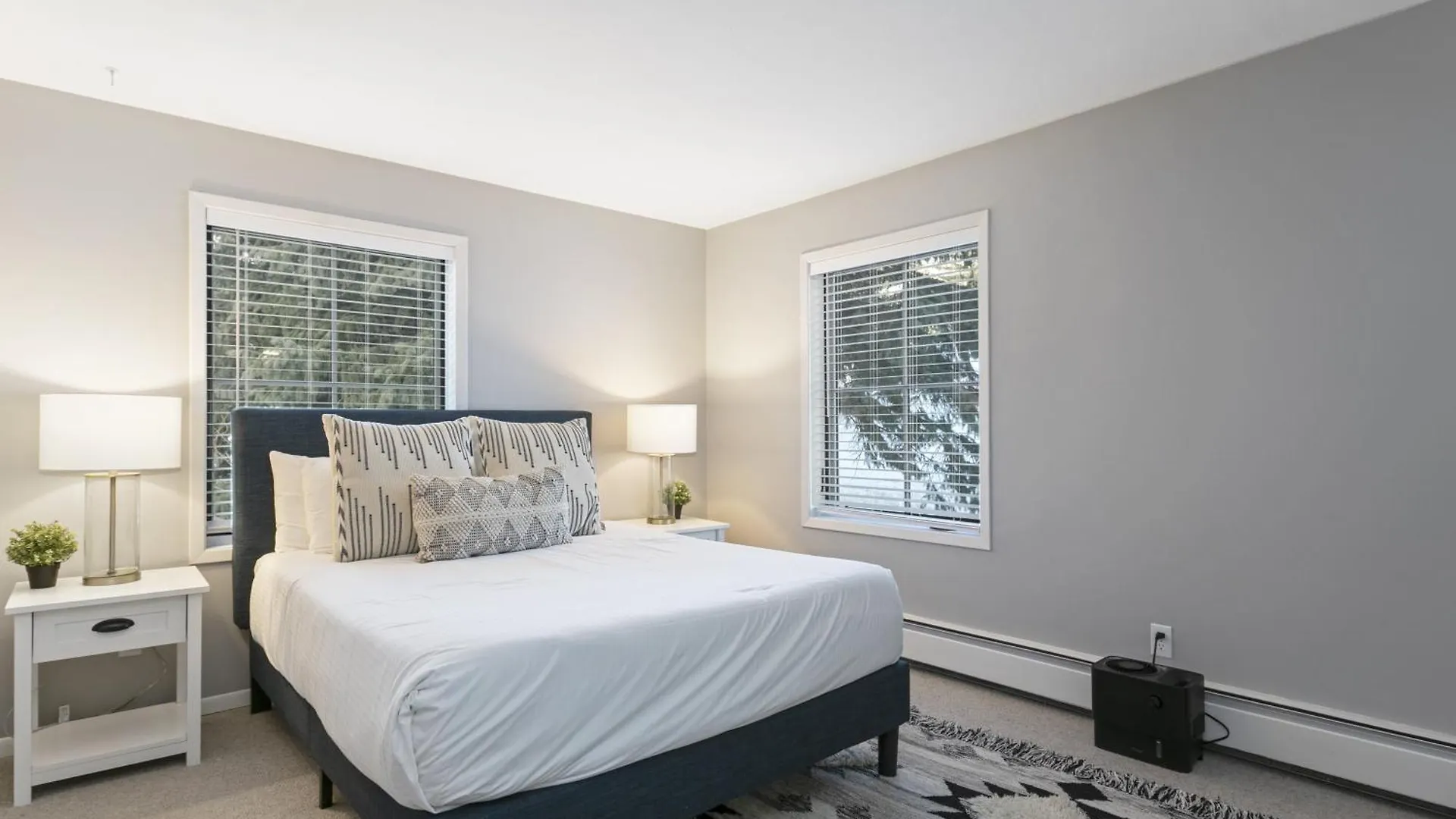 Snowlion 208 Apartment