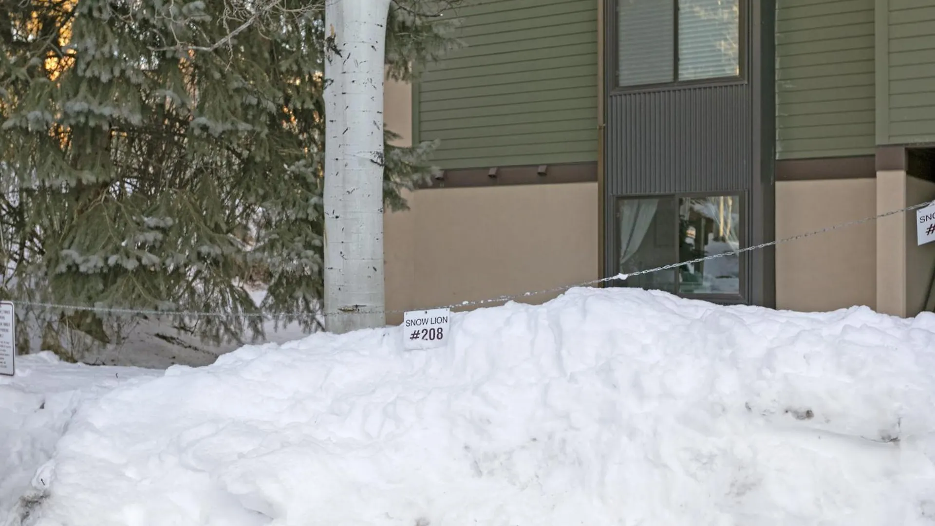Snowlion 208 *