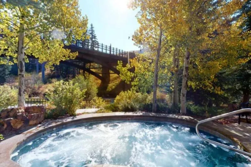 Lionshead Alpine Lodge: Ski-in/ski-out With Heated Pool Apartment *