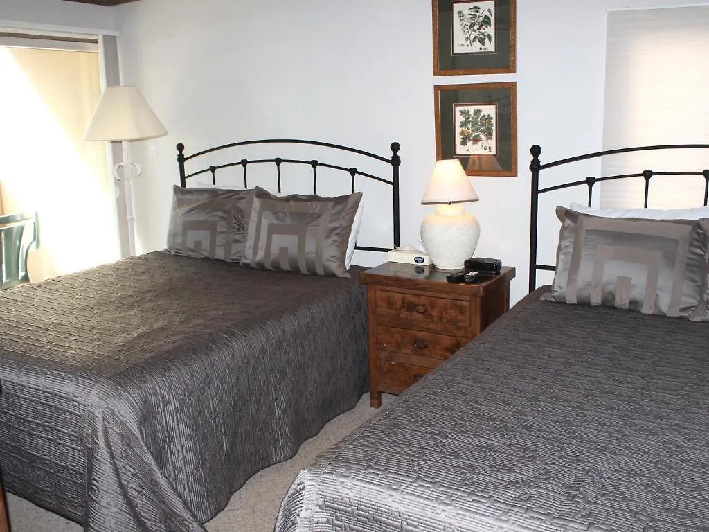 Aparthotel International 3*
