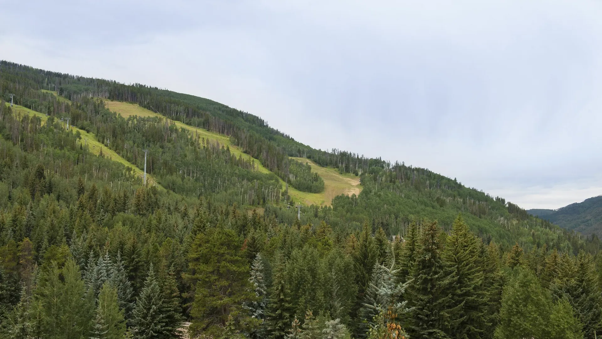 Evergreen At Vail
