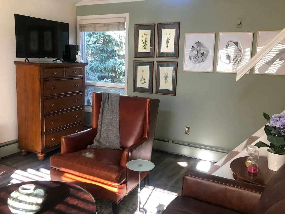 Spectacular Apartment, Close To Lions Head, Next To Bus Stop * Vail