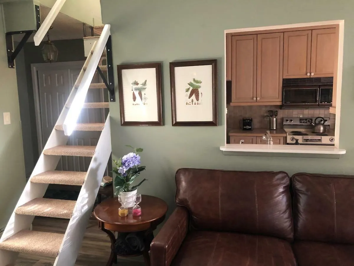 Spectacular Apartment, Close To Lions Head, Next To Bus Stop *