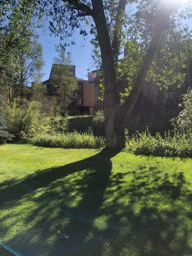Spectacular Apartment, Close To Lions Head, Next To Bus Stop Apartment