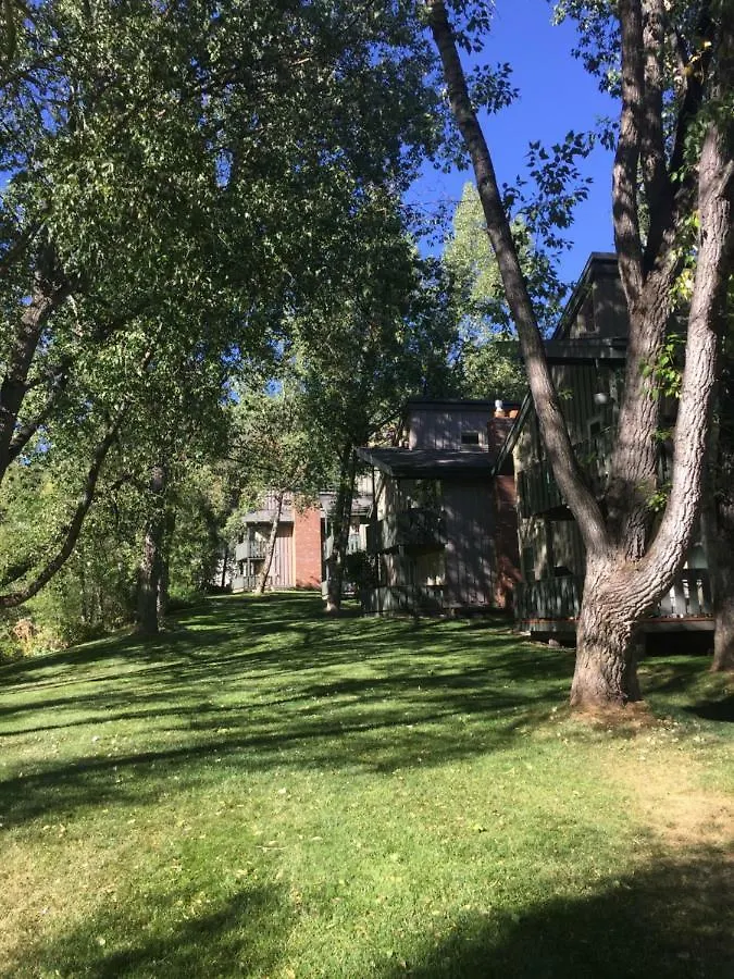 Spectacular Apartment, Close To Lions Head, Next To Bus Stop * Vail