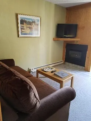 Vantage Point Lionshead By Berkshire Hathaway 2*