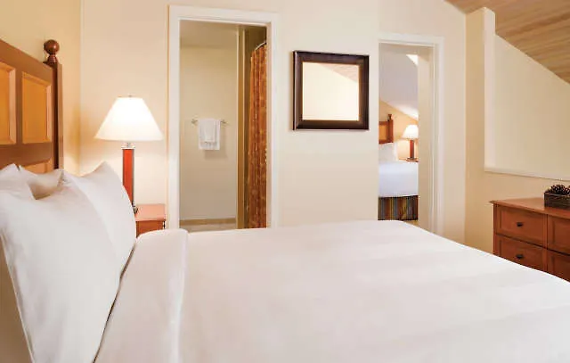 Marriott's Streamside Douglas At Vail